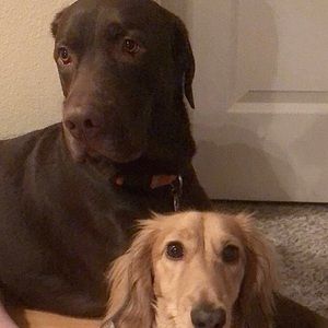 Meet your Posher, Tamara